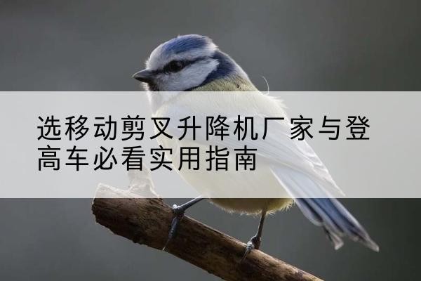 向阳电动升降机厂家-选移动剪叉升降机厂家与登高车必看实用指南