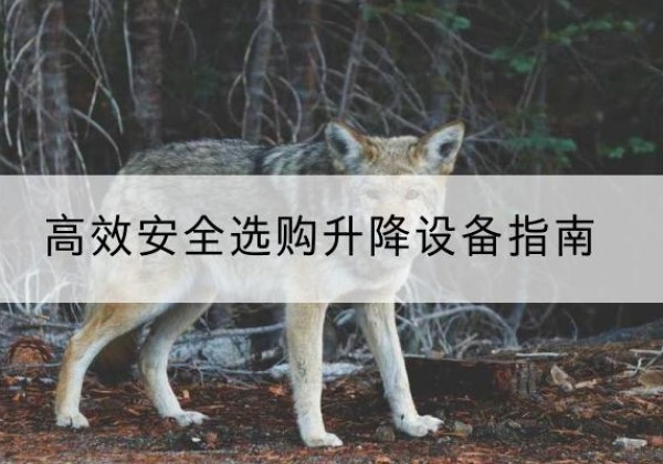 向阳升降货梯厂家推荐-*安全选购升降设备指南